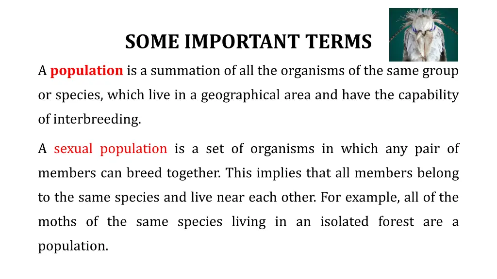 some important terms