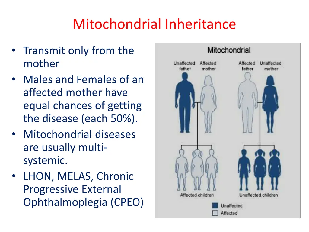 mitochondrial inheritance