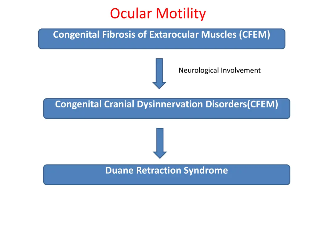 ocular motility