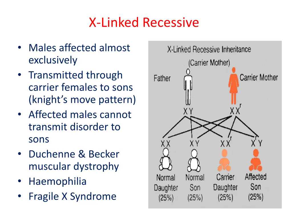 x linked recessive