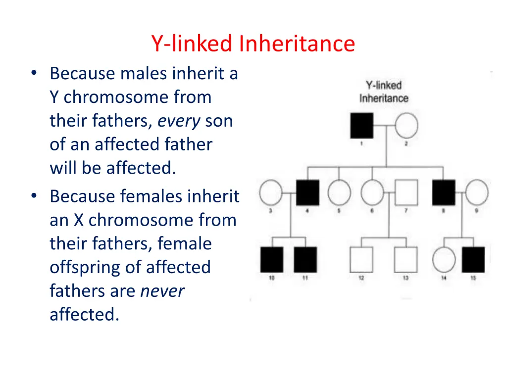 y linked inheritance