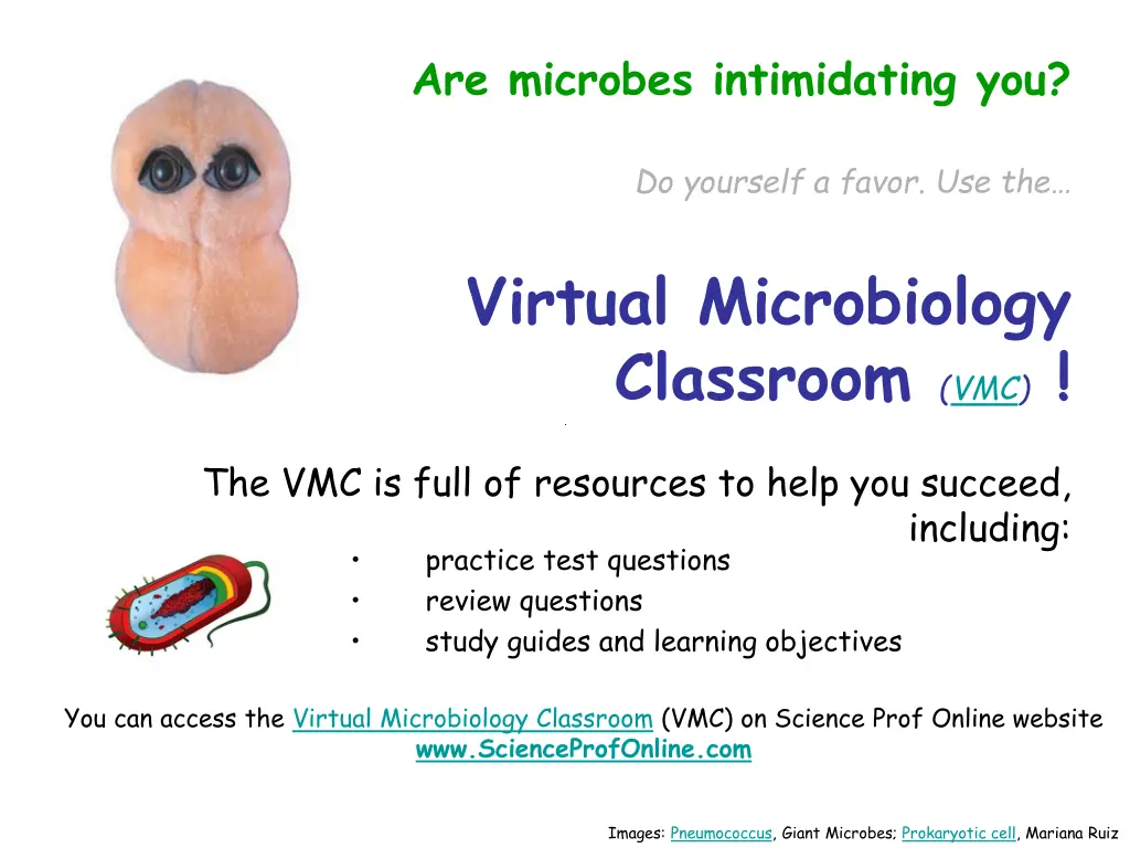 are microbes intimidating you