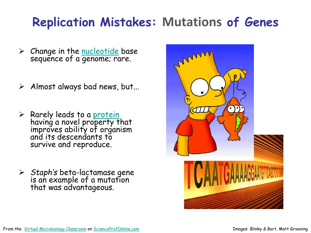 replication mistakes mutations of genes
