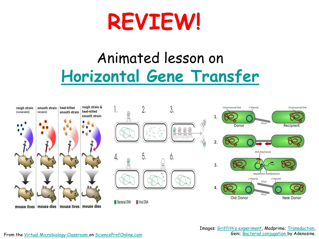 review 1