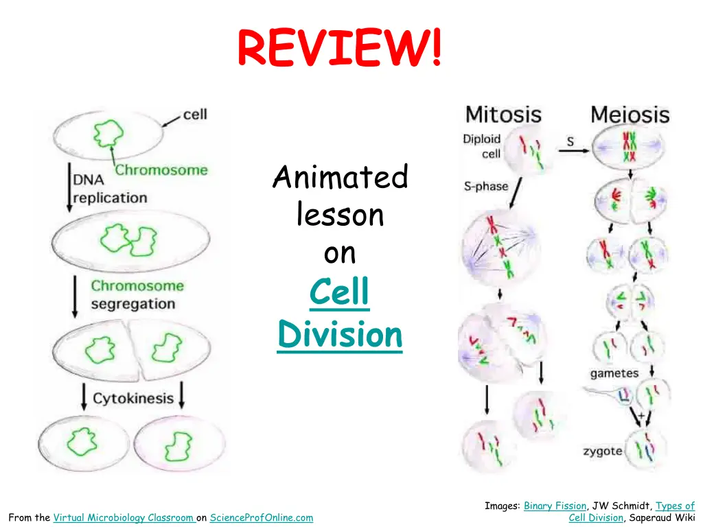 review