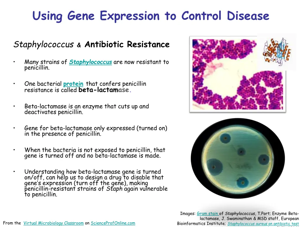 using gene expression to control disease