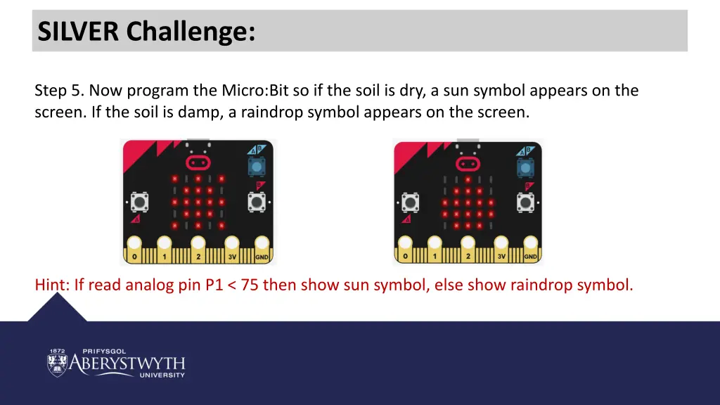 silver challenge 2