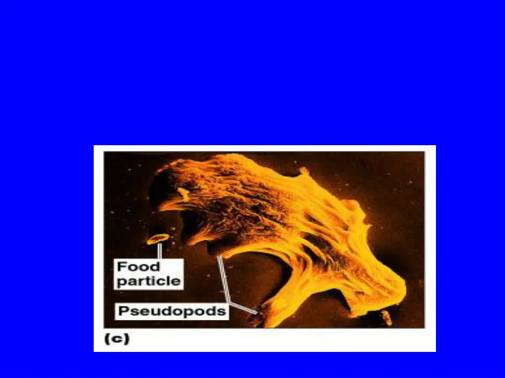 slide6