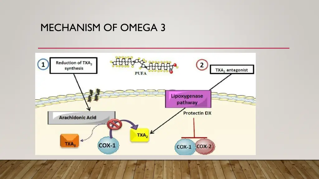 mechanism of omega 3