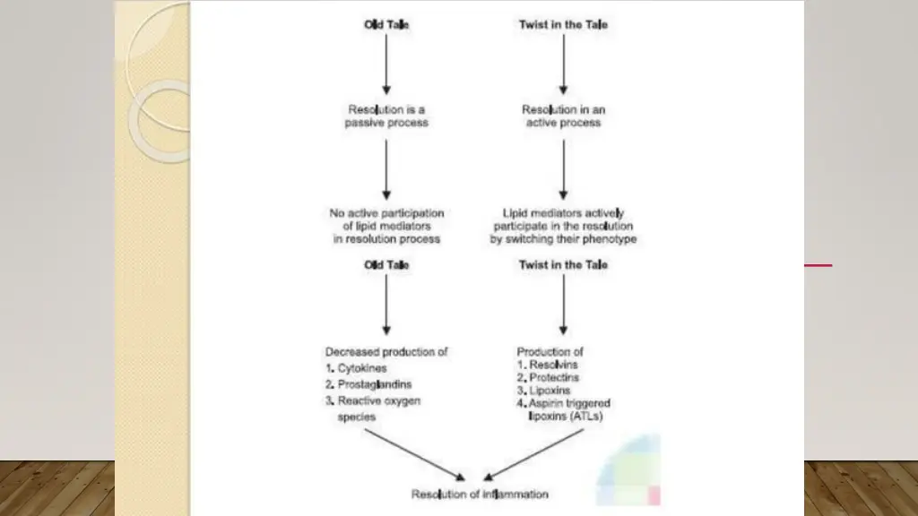 slide21