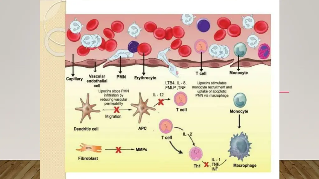 slide30