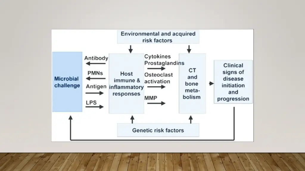 slide42