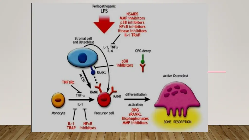 slide46
