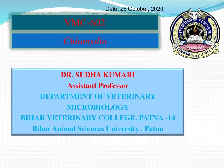 date 28 october 2020