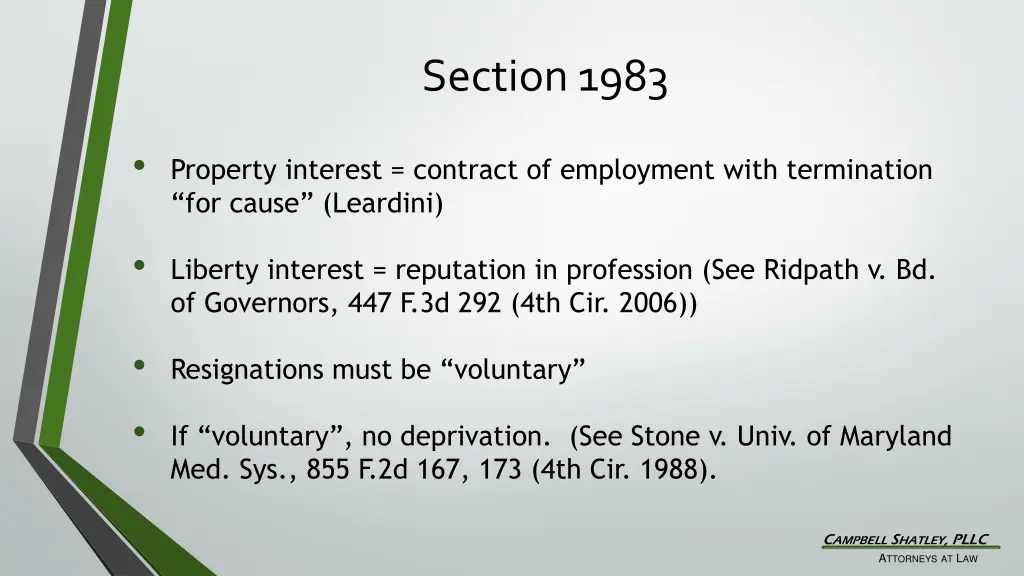 section 1983 1