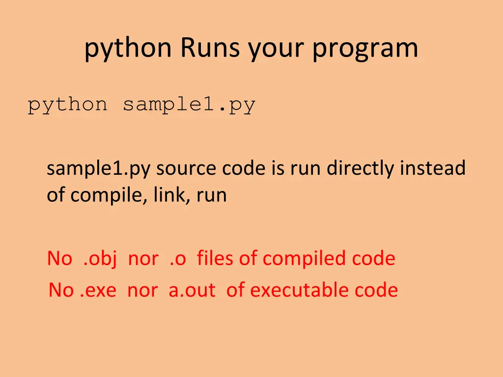 python runs your program