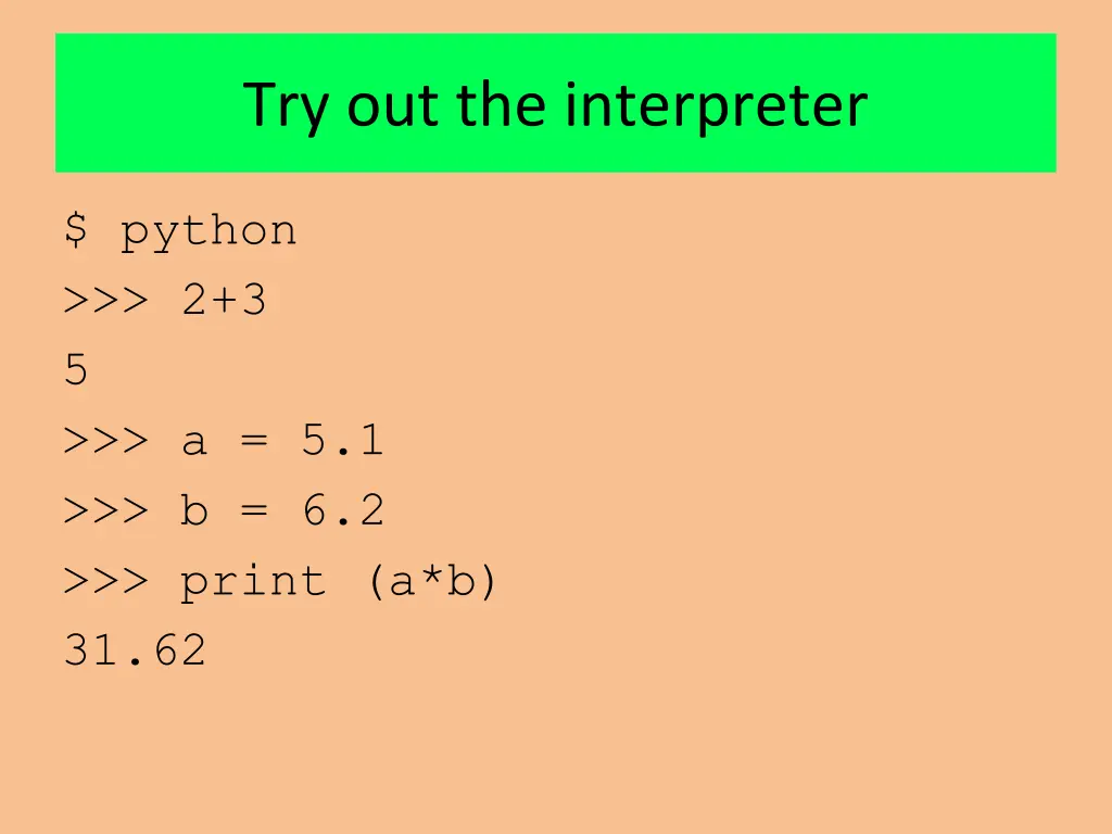 try out the interpreter