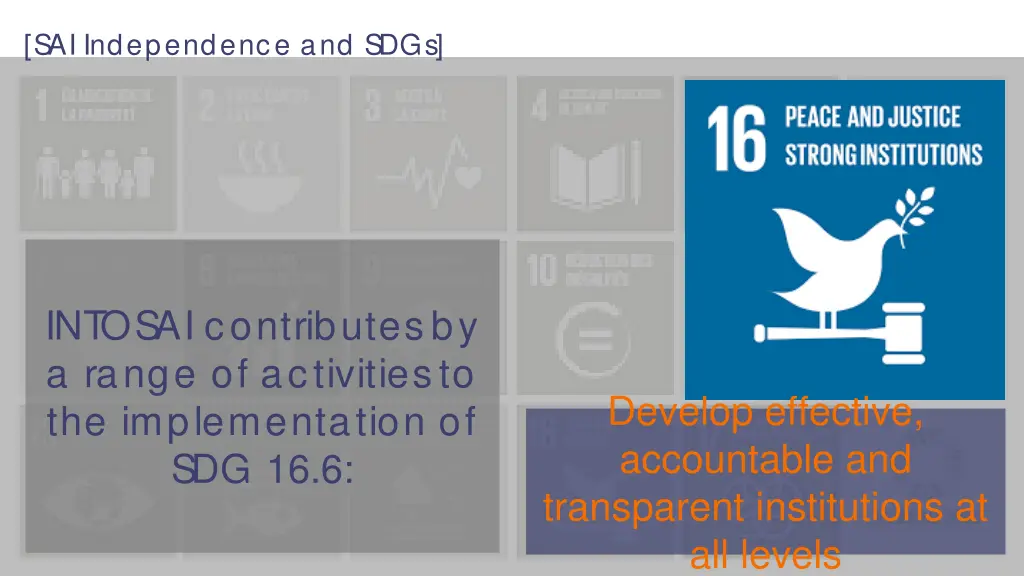 sai independence and sdgs