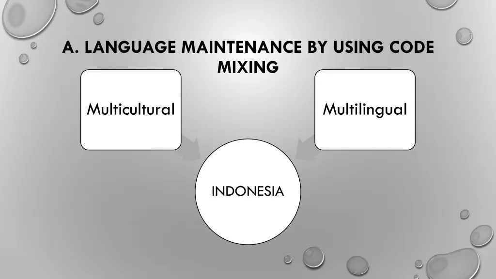 a language maintenance by using code mixing