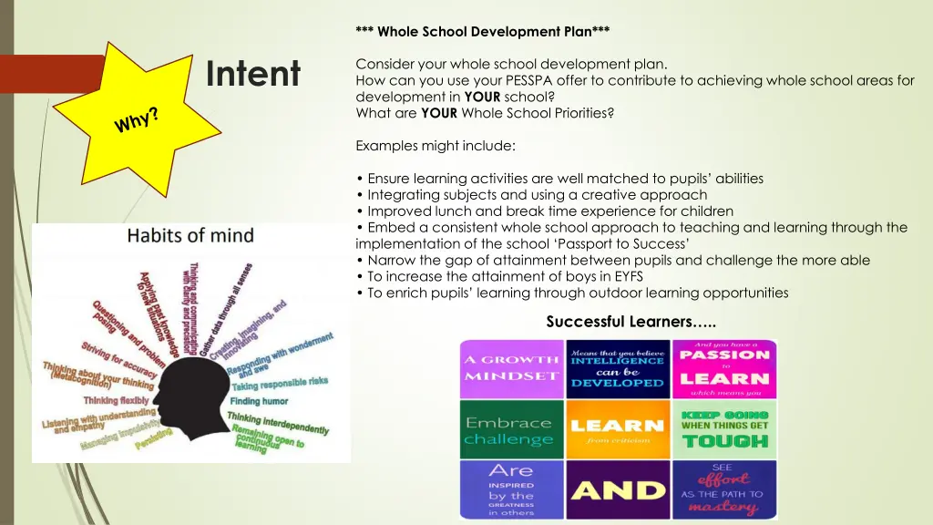 whole school development plan