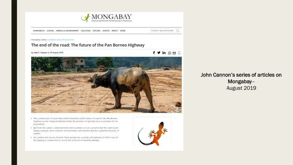 john cannon s series of articles on john cannon