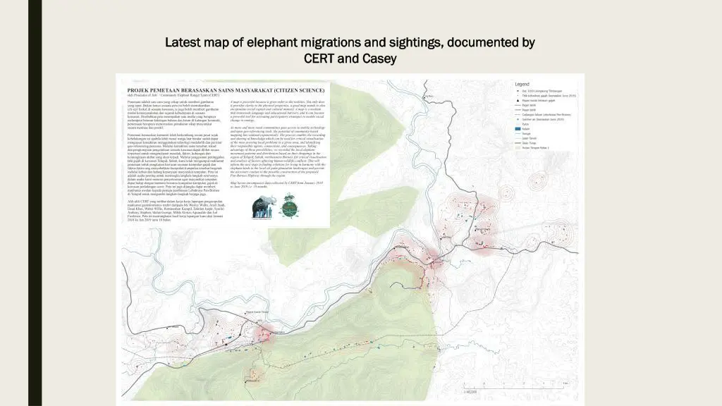 latest map of elephant migrations and sightings