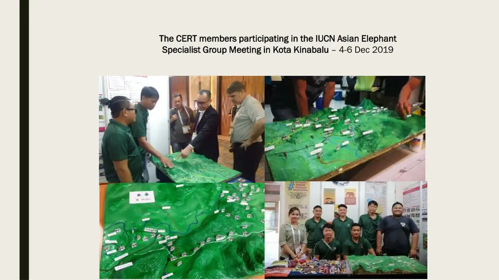 the cert members participating the cert members
