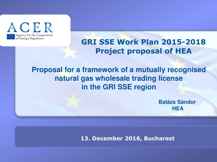 gri sse work plan 2015 2018 project proposal