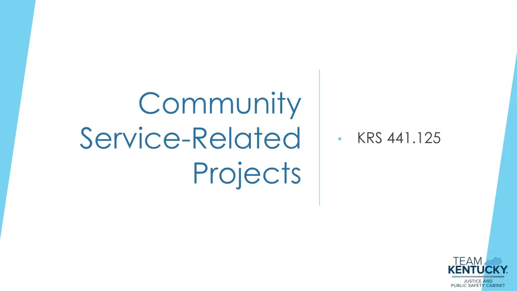 community service related projects