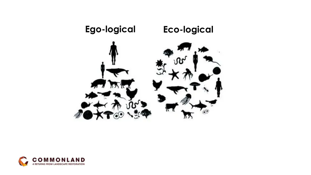 ego logical