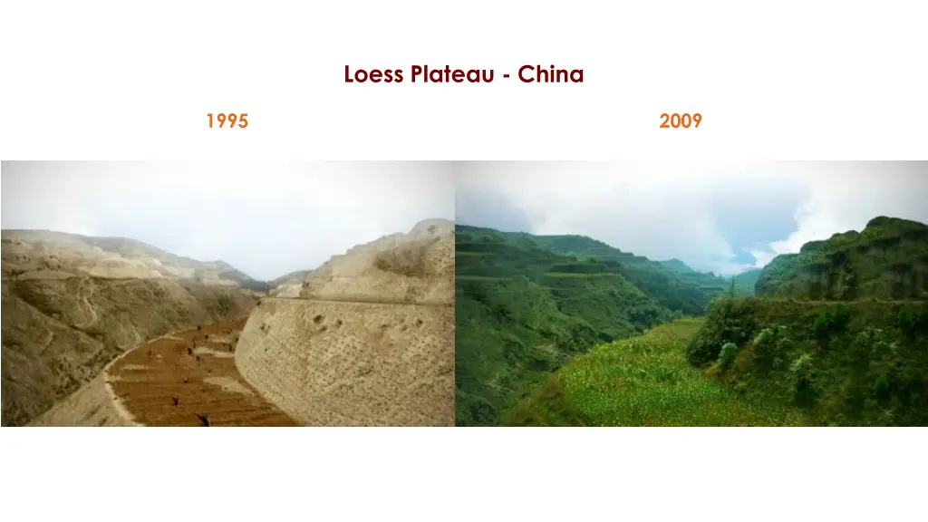 loess plateau china