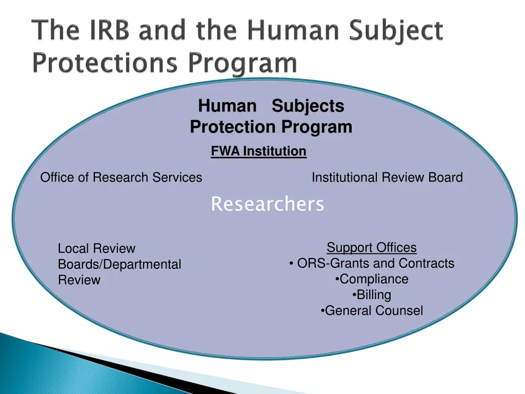 human subjects protection program