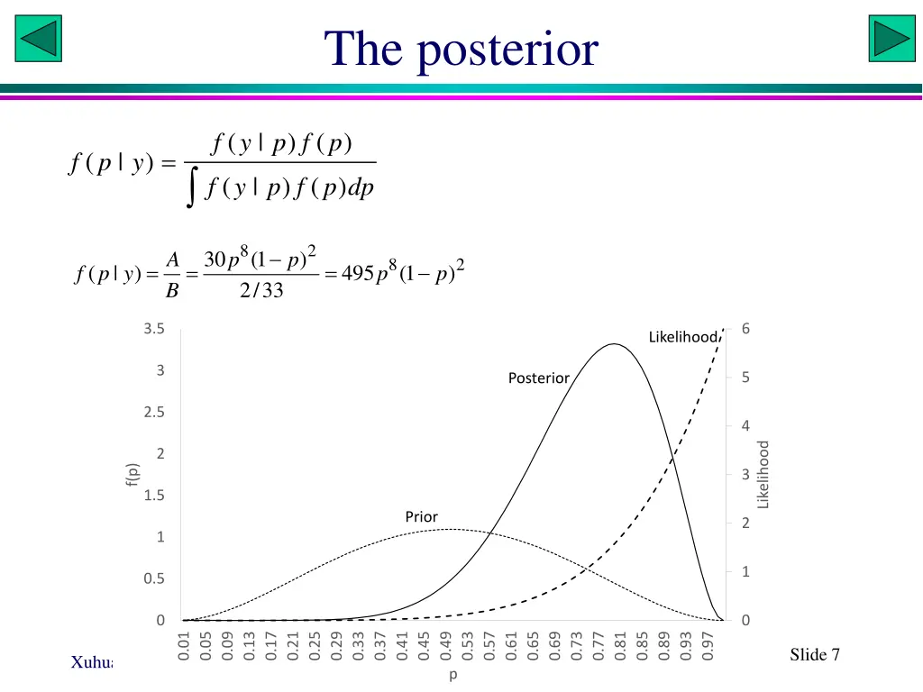 the posterior