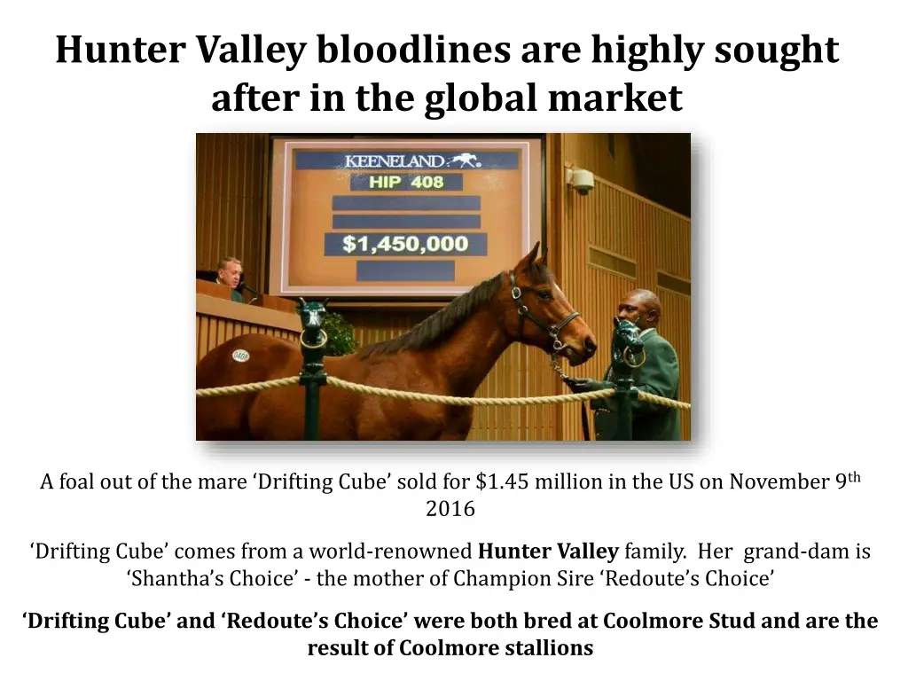 hunter valley bloodlines are highly sought after