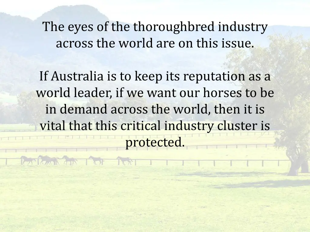 the eyes of the thoroughbred industry across