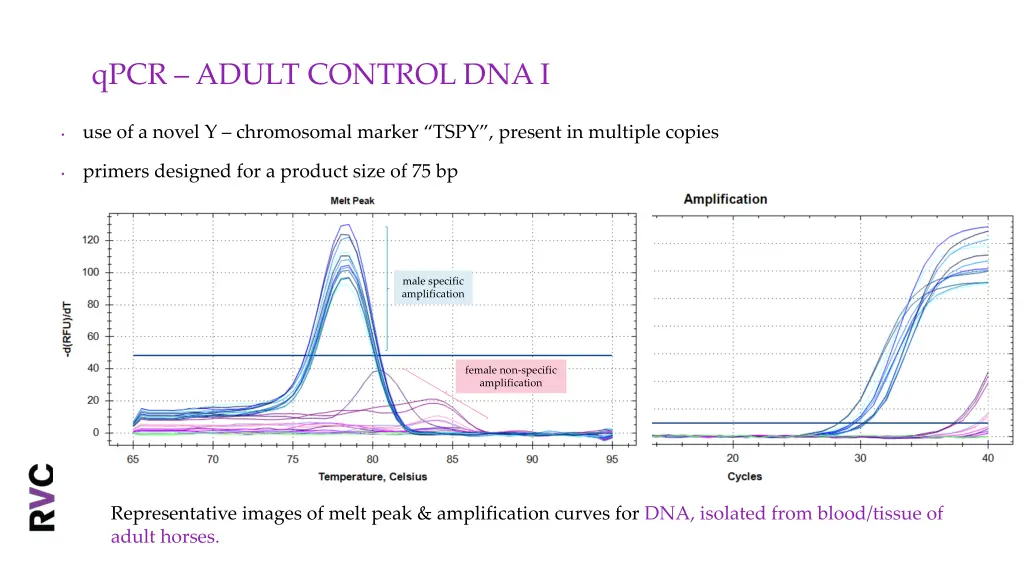 qpcr adult control dna i