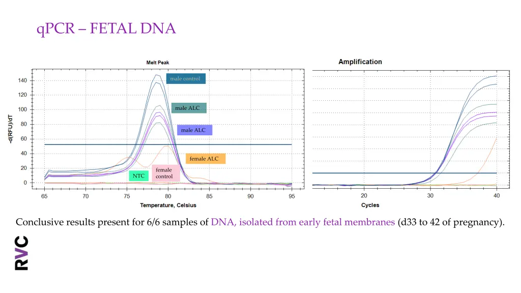 qpcr fetal dna
