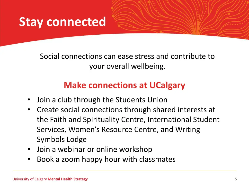 stay connected