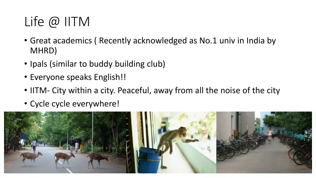 life @ iitm