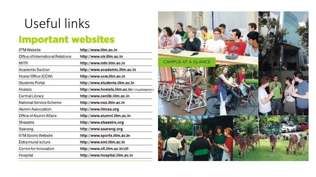 useful links