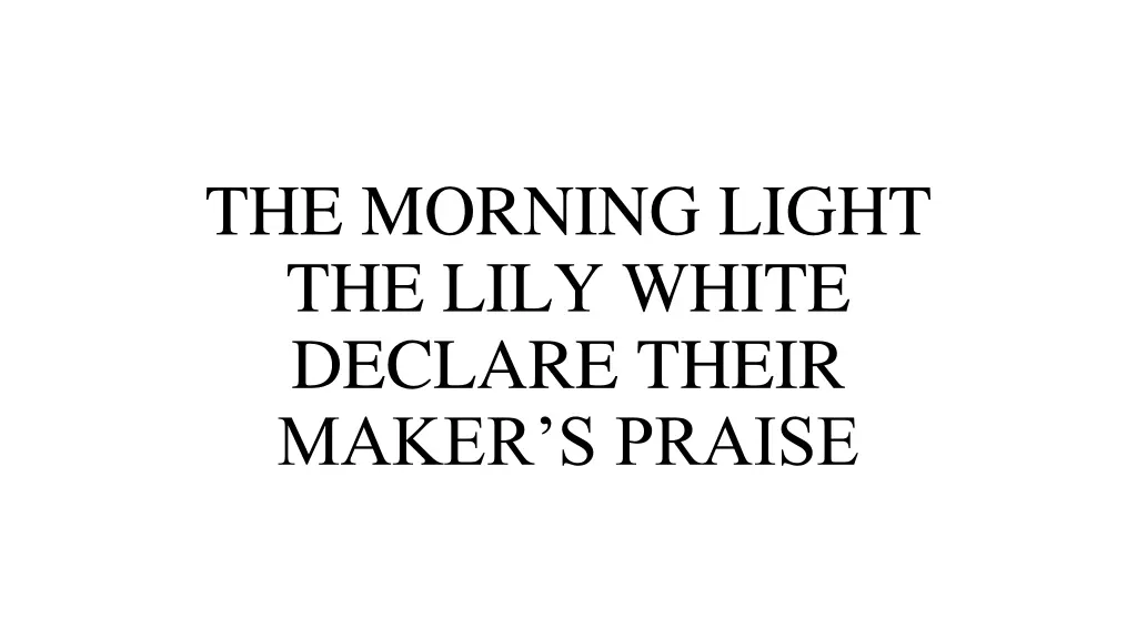 the morning light the lily white declare their