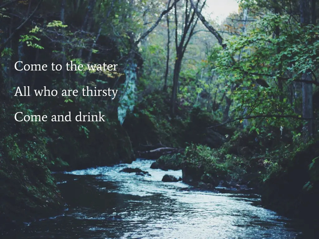 come to the water