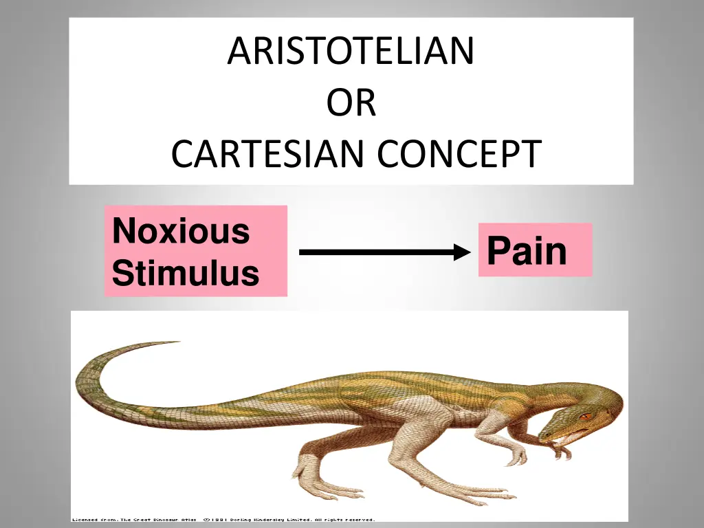 aristotelian or cartesian concept