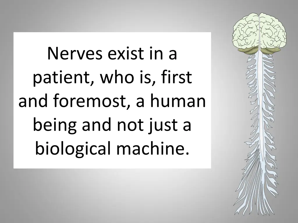 nerves exist in a patient who is first