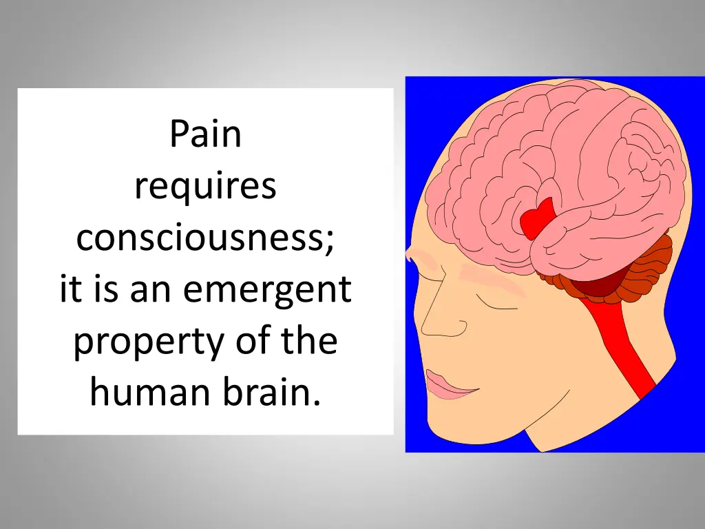 pain requires consciousness it is an emergent
