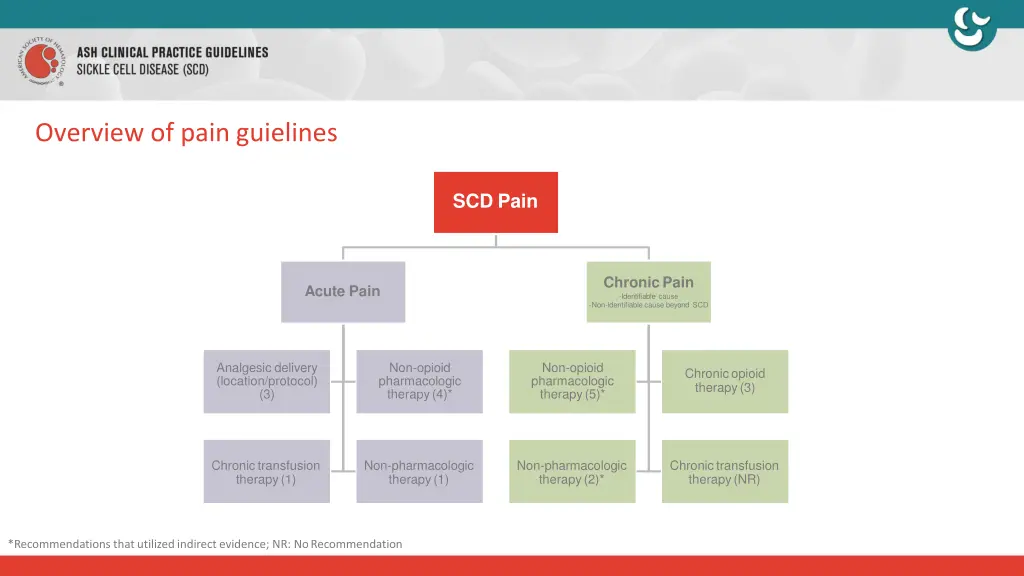 overview of pain guielines