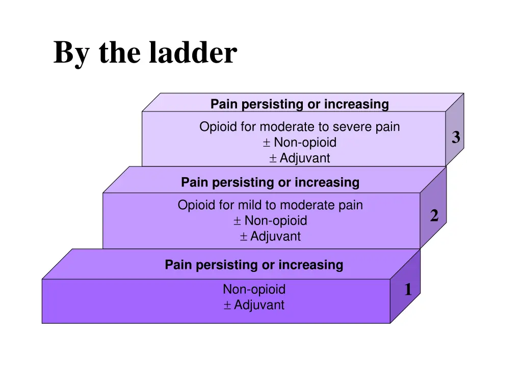 by the ladder