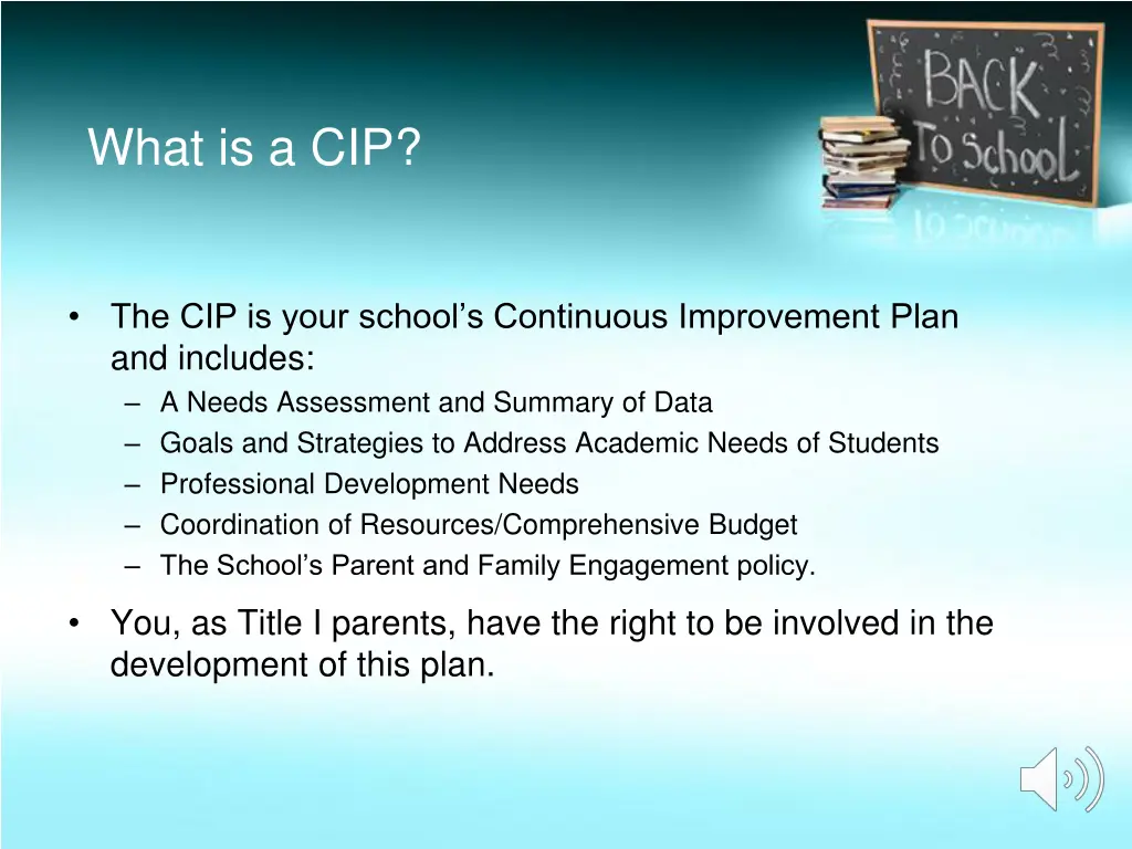 what is a cip