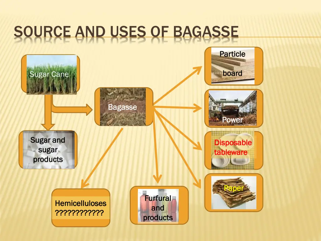 source and uses of bagasse
