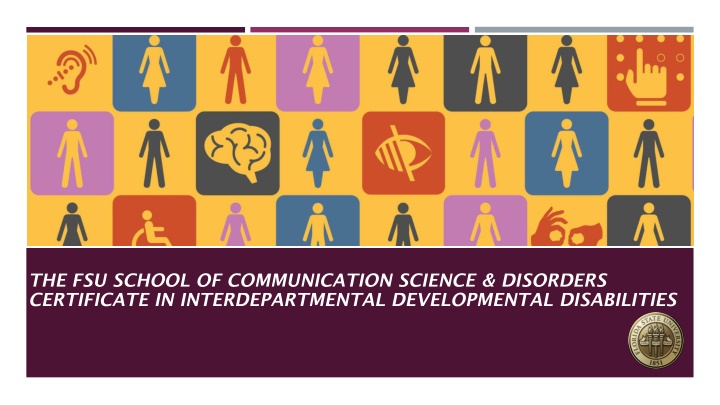 the fsu school of communication science disorders